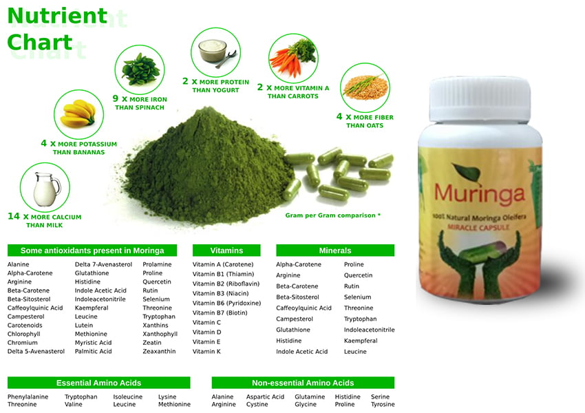 Moringa Leaf Powder,sohanjna in pakistan,sohanjna tree benefits in urdu,moringa in pakistan,moringa tree in punjabi,